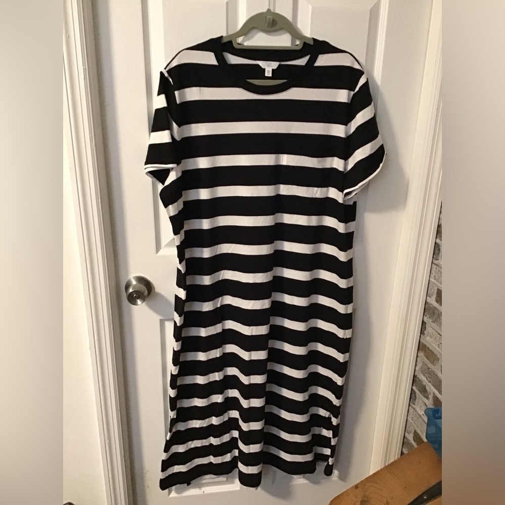 Time and Tru Dress XXXL (22)